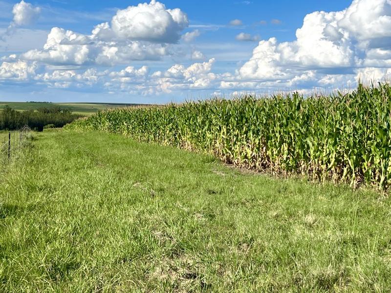 0 Bedroom Property for Sale in Bethlehem Rural Free State